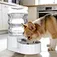 RIZZARI 6L Automatic Pet Waterer - Gravity-fed Stainless Steel Water Dispenser, 100% BPA Free, Leak-proof, Easy to clean - Large Capacity Feeder for Cats and Dogs, Suitable for multi-pet households